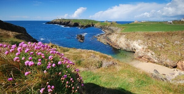 CIRCUIT VERTE IRLANDE ET DUBLIN