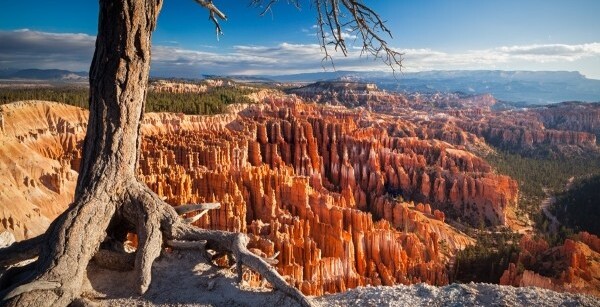 https://voyages.fram.fr/optiext/optiextension.dll?ID=tXWt1bCPw0eOMWXZ7qoJIeMG4uYuQDdM%2BuORbgmTUEA%2BjP2J6IwgQT9qaLIv9N7%2BNKSgPaoy3uVNKK3JyFEgUE2mFzlkv4EZwXocQ5Z2