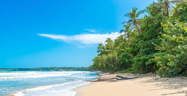 Des Caraïbes au Pacifique