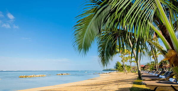 https://voyages.fram.fr/optiext/optiextension.dll?ID=dHGdMYV9Vh%2B_ylzu%2BPahZaVidimVNsj_ZP46kdzd8D87bedtQ2%2B0PhdGb7QGUcZFXcPawmpD9U8euxtgPGfdCMc_TewzQVfpM5NEhTJp