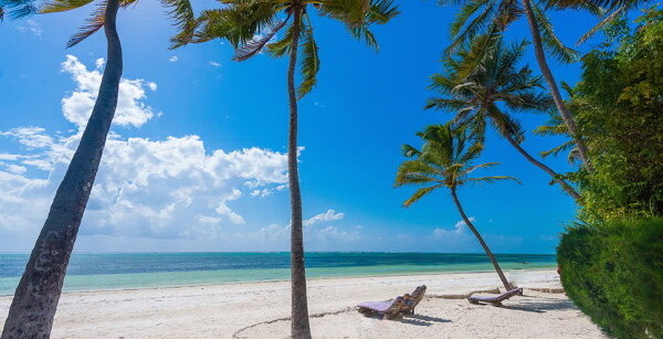 INDIGO BEACH ZANZIBAR - Cat de Charme