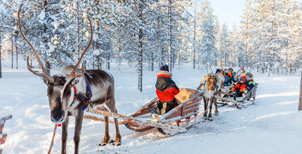 /hotel-jumbo-yllaskaltio-activites-incluses-finlande-akaslompolo-64739.html