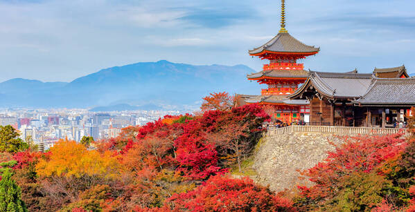 Du Japon impérial aux beautés de la nature 3*