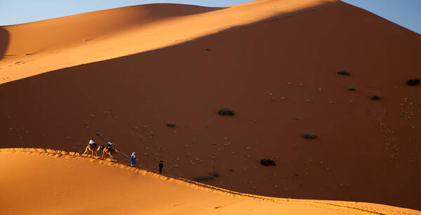 /circuit-marrakech-et-desert-de-merzouga-67358.html#2627108