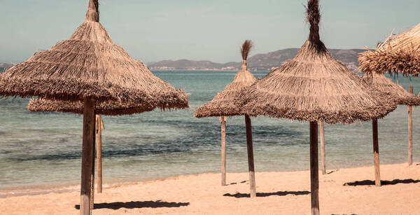 Adult Only - Cook's Club Palma Beach 3*