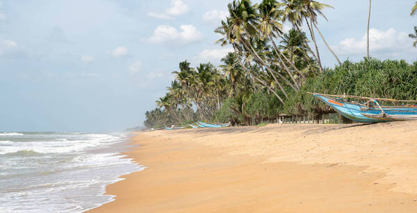 Framissima The Calm 4* et 3 jours de visites