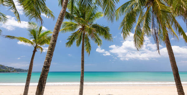 Sunprime Kamala Beach 4* (adult only +16 ans)